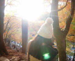 野外露出,願望,セックス